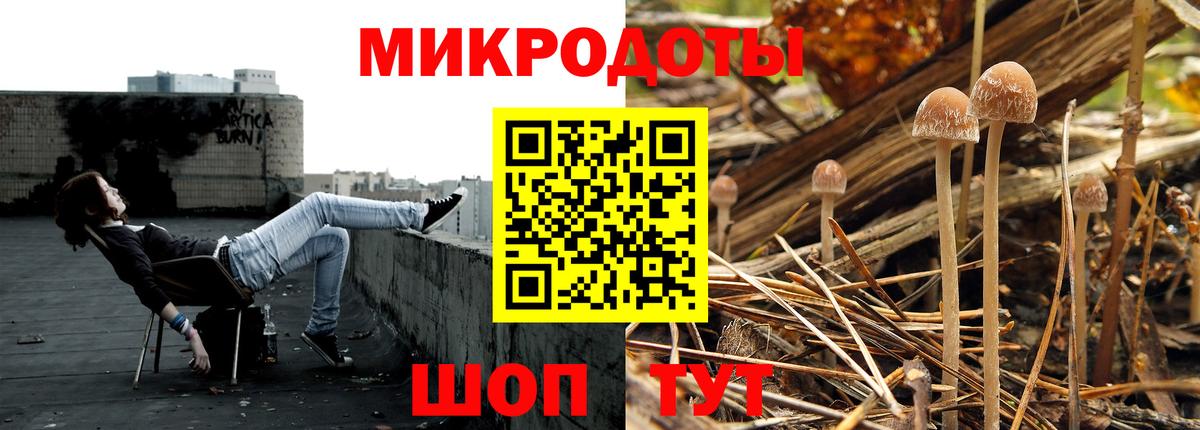Псилоцибиновые грибы мицелий  Вход с VPN  Славгород 