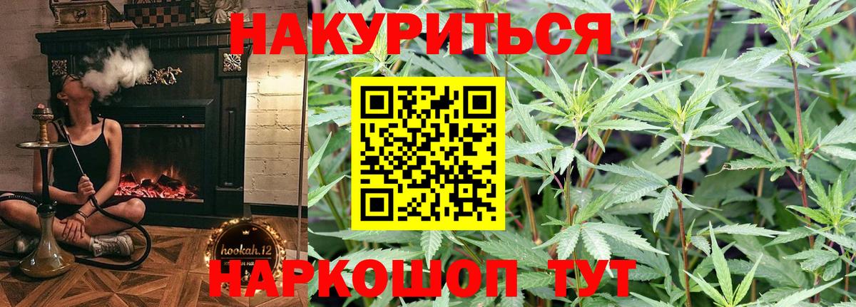 МАРИХУАНА конопля Славгород